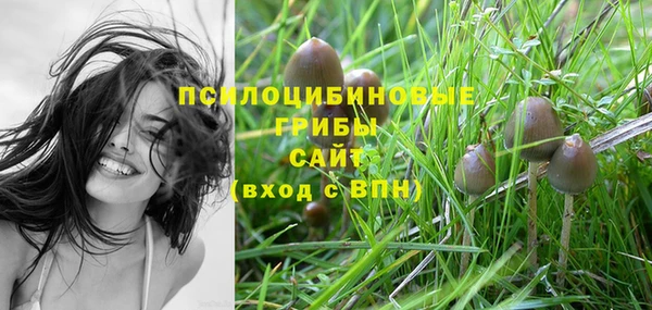 мяу мяу мука Алзамай