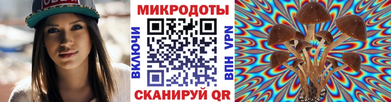 Псилоцибиновые грибы Cubensis что такое shop наркотические препараты Бикин